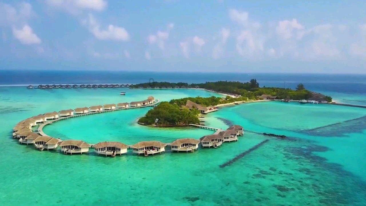 凌晨起来上厕所的时候发现老公刚好有新消息提醒,你会打开他的手机看还是忽略?- 解答你的疑惑