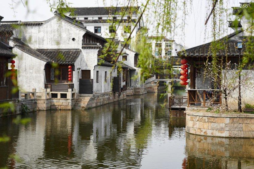 雷探长探秘叙利亚,当地男人可以娶好几个老婆,但代价有点高-专业问答社区